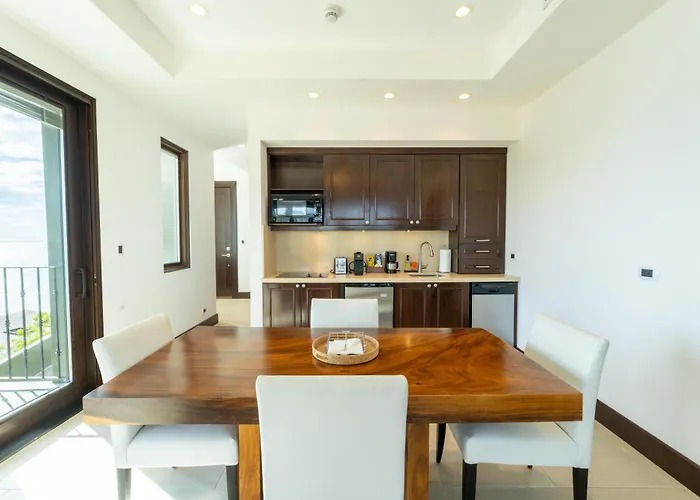 360 Splendor 104b-ocean View Condo-breakfast Playa Flamingo